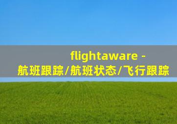 flightaware - 航班跟踪/航班状态/飞行跟踪